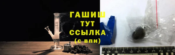 индика Аркадак