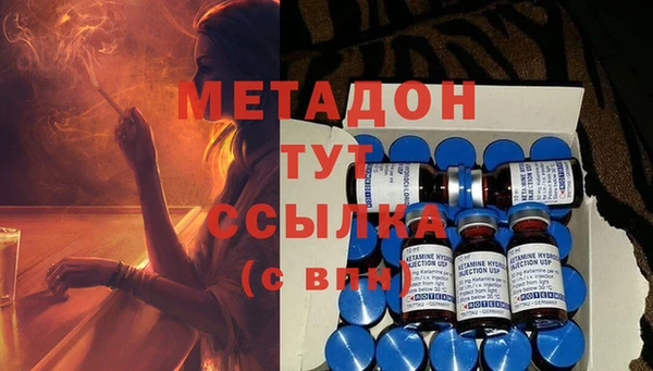 индика Аркадак