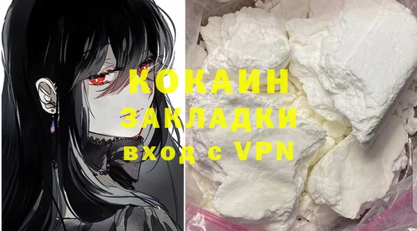 индика Аркадак