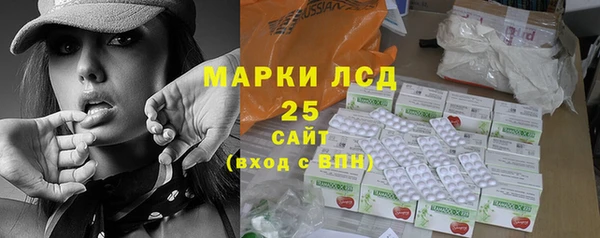 индика Аркадак