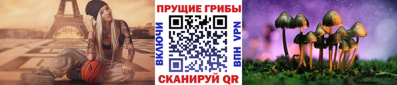 Псилоцибиновые грибы GOLDEN TEACHER  гидра ссылки  Усть-Джегута 